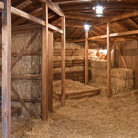 Hotel Sueno Deluxe Belek